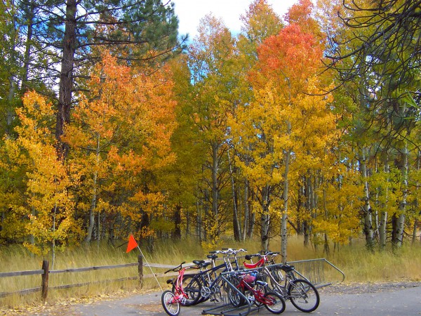 Lake Tahoe and Truckee abound in bike trails, perfect for a ride or a leisurely stroll.