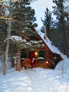 A Tahoe cabin in the woods IMG_0019