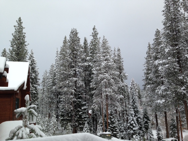 View from my office this morning! 