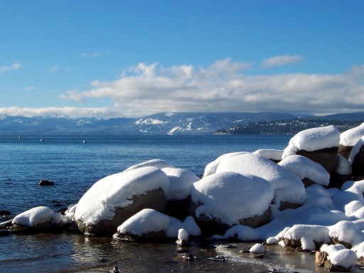 Photo by Michelle Portesi