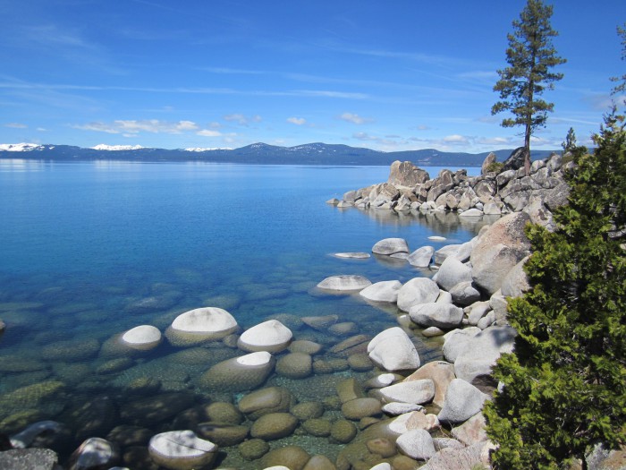 Photo by Michelle Portesi