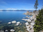 Photo by Michelle Portesi