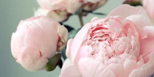 1429630890-100005519