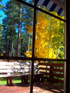 ...take in the Fall color display.