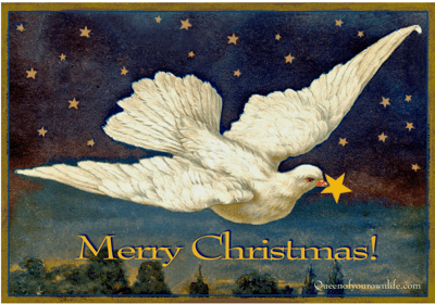 563619_10152081048642567_14485494_n