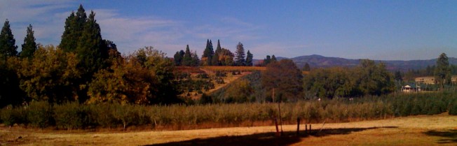 wineries-apple-hill